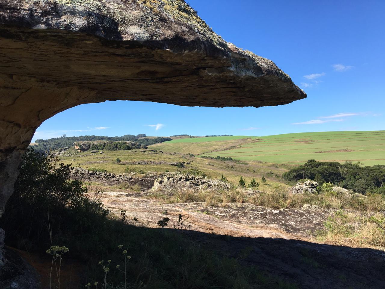 WhatsApp Image 2019-05-05 at 8.06.57 PM(1).jpeg