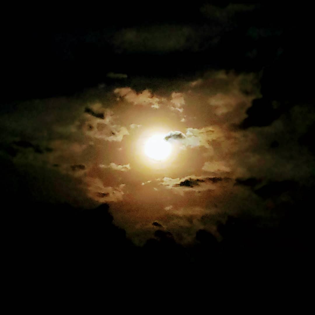 WhatsApp Image 2019-12-13 at 12.45.52 AM_ROSILENE.jpeg