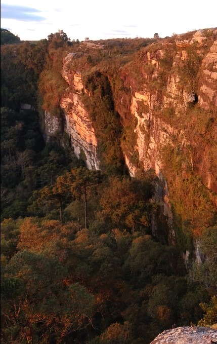 WhatsApp Image 2022-10-15 at 19.18.21.jpeg