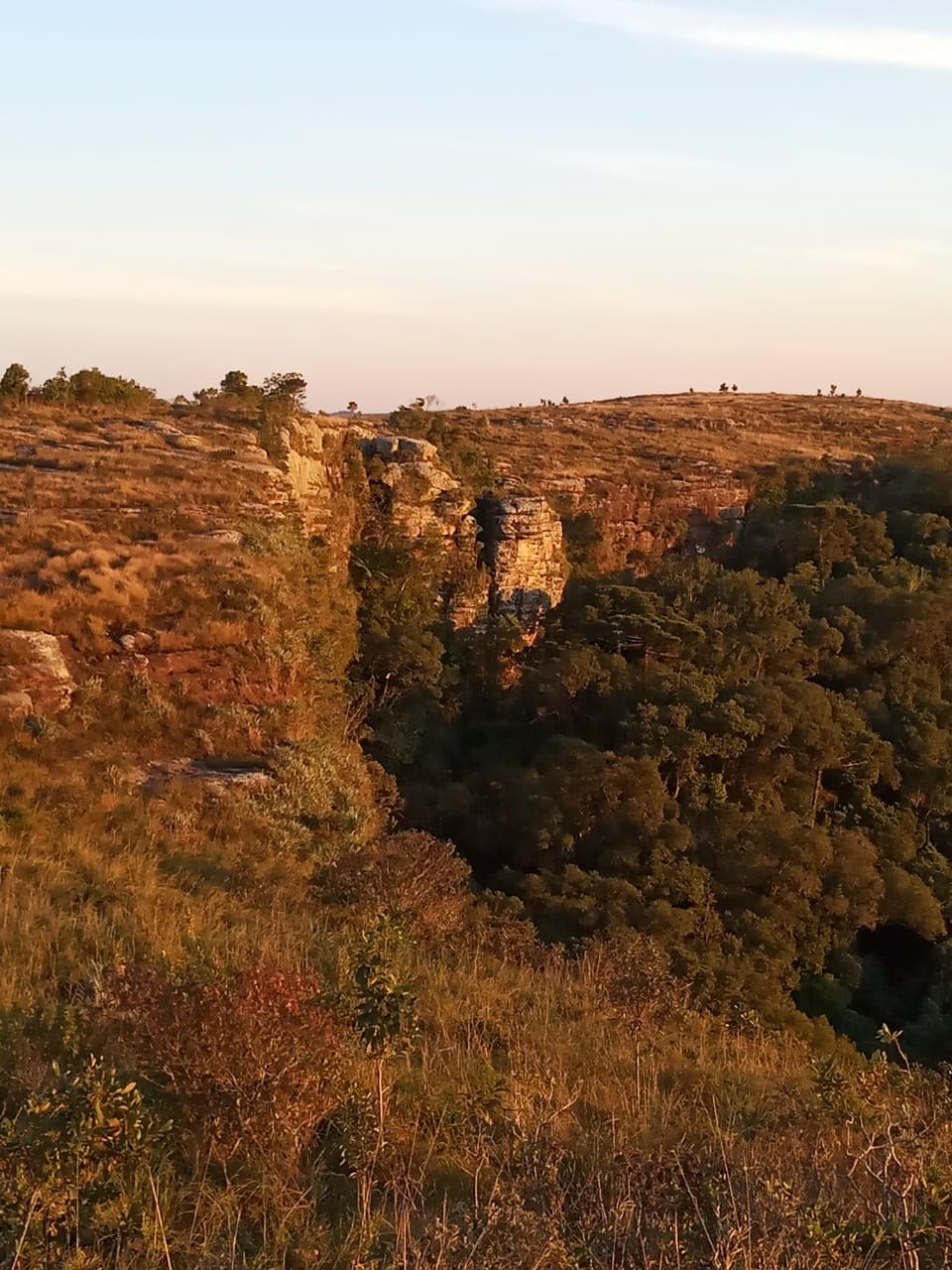 13 WhatsApp Image 2019-06-17 at 9.15.08 AM(1).jpeg