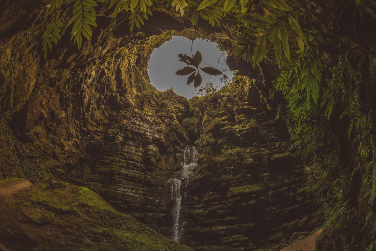 WhatsApp Image 2020-10-23 at 11.53.14 AM.jpeg