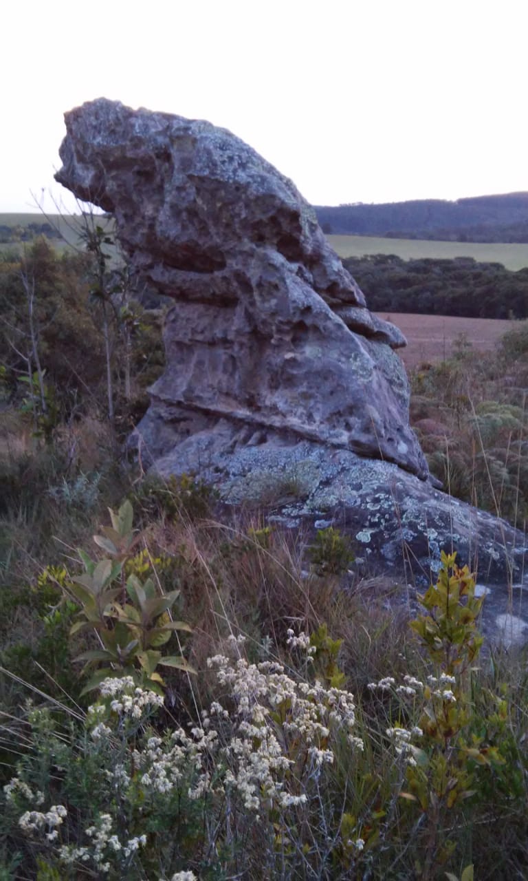 WhatsApp Image 2019-05-12 at 5.48.34 PM.jpeg