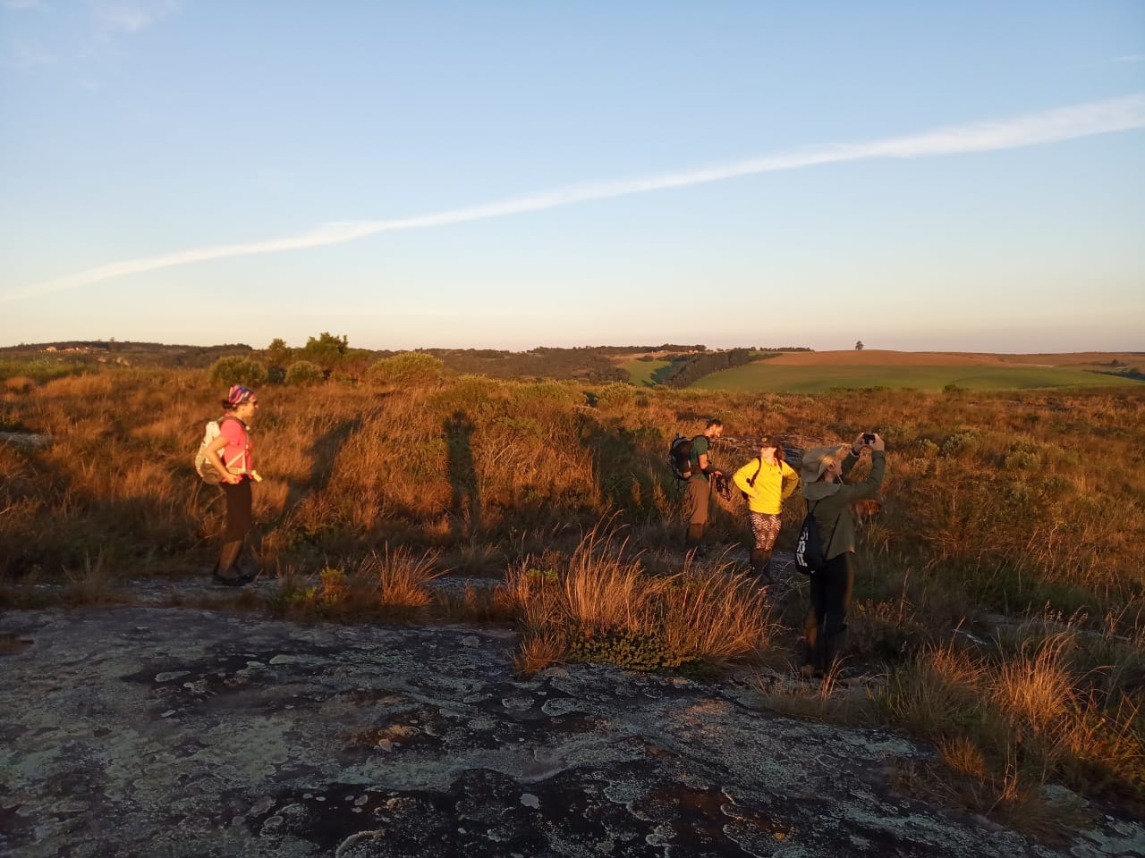 15 WhatsApp Image 2019-06-17 at 9.15.13 AM(1).jpeg