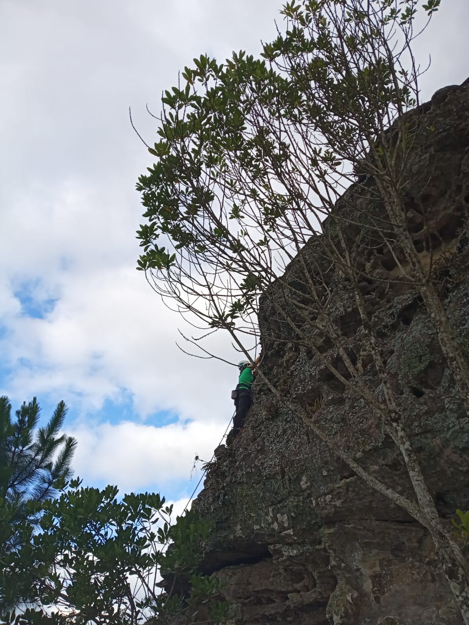 06 WhatsApp Image 2020-01-19 at 11.58.17 AM (2)-LUCIANOeCAROL.jpeg