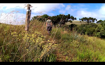 Captura de tela de 2019-04-16 12-15-12.redimensionado.png