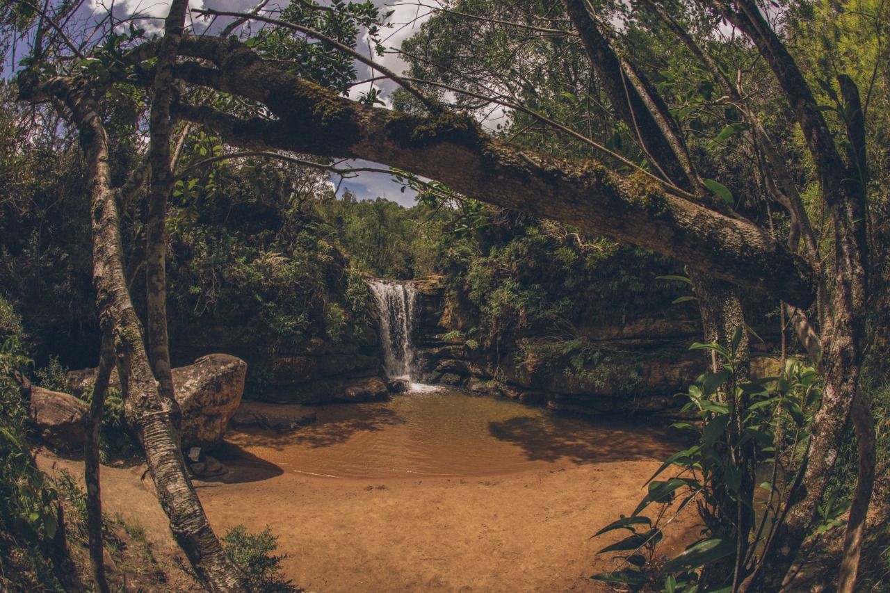 WhatsApp Image 2020-10-23 at 11.38.40 AM (2).jpeg