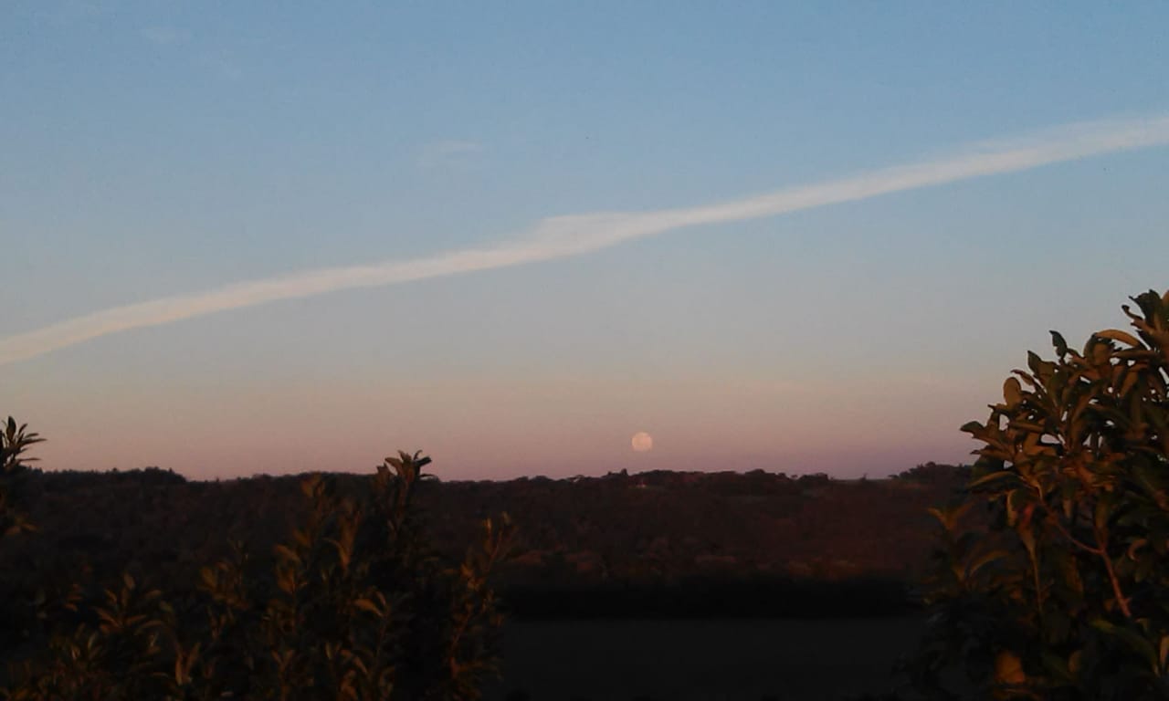 WhatsApp Image 2019-06-16 at 5.28.30 PM_GUI.jpeg