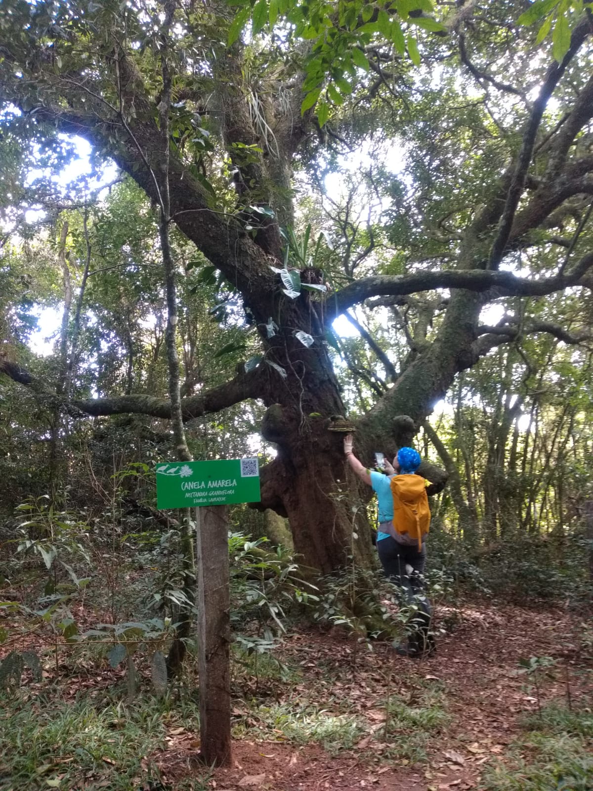 WhatsApp Image 2022-05-28 at 10.01.26 (1)-LETICIA GRAF.jpeg