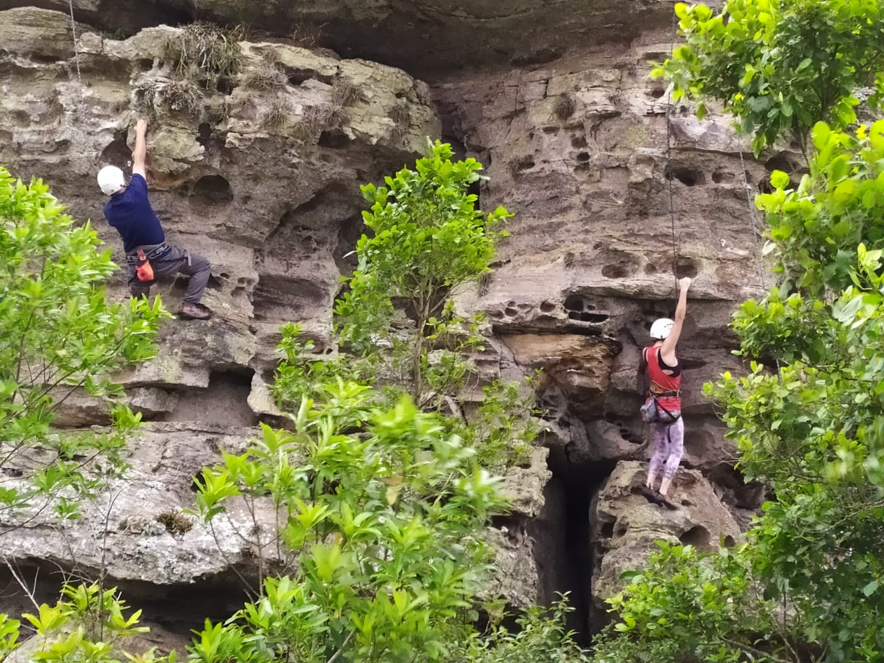 WhatsApp Image 2019-11-24 at 8.56.40 AM_IARA.jpeg