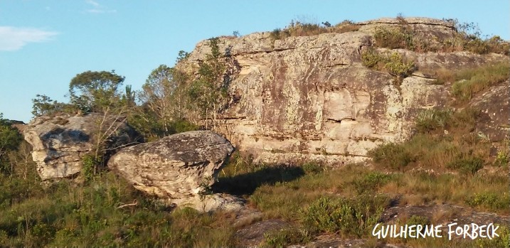 WhatsApp Image 2020-11-28 at 7.45.27 PM_GUI.jpeg