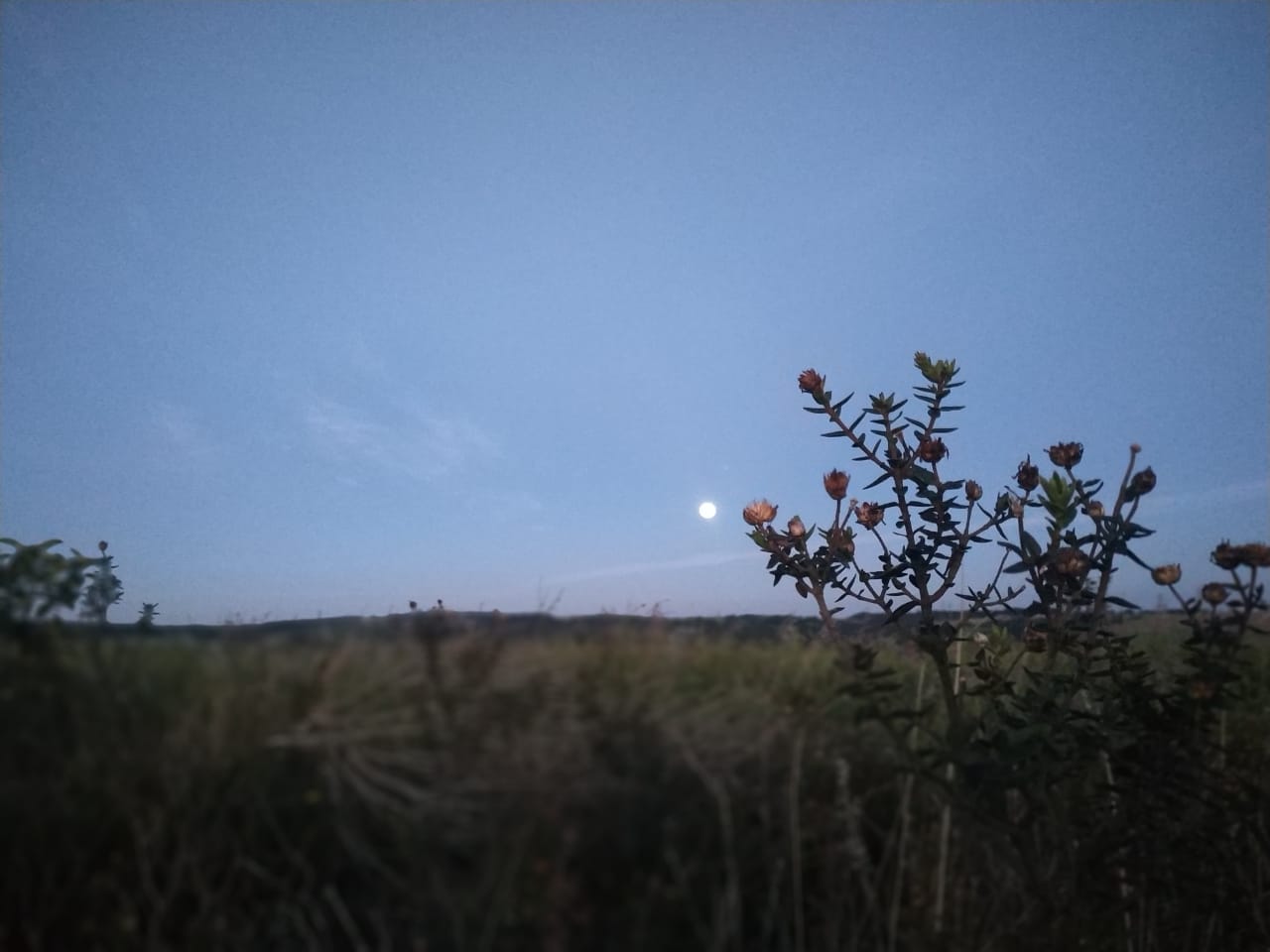 35 WhatsApp Image 2019-06-17 at 9.14.42 AM(2).jpeg