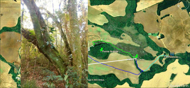 Captura de tela de 2023-12-02 18-48-36.redimensionado.png