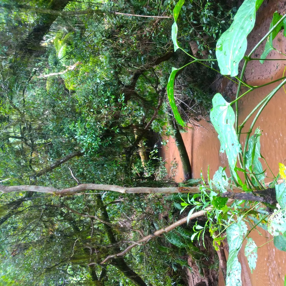 4 IMG_20231114_160257396-t-q.redimensionado.jpg